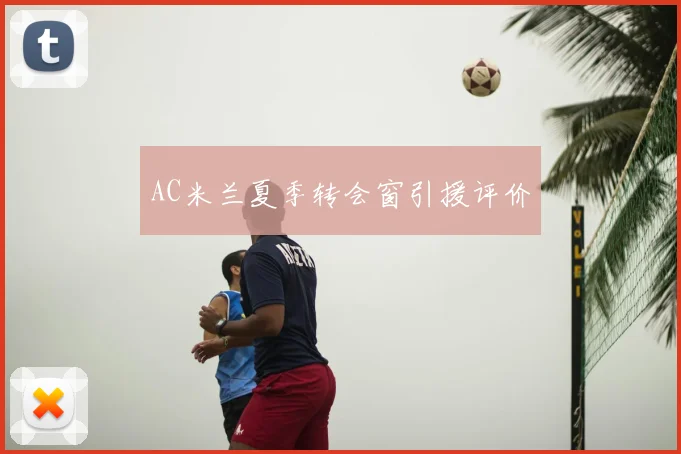 AC米兰夏季转会窗引援评价