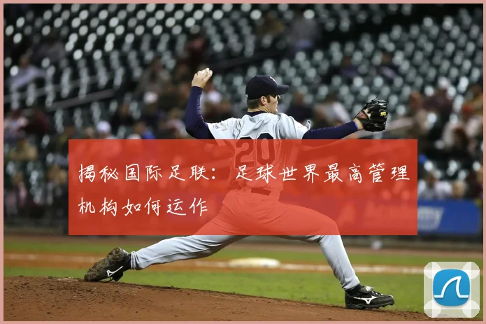 揭秘国际足联:足球世界最高管理机构如何运作